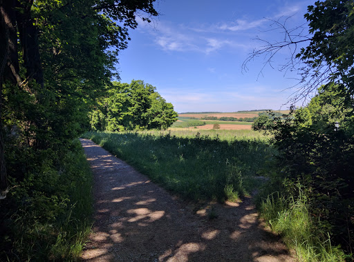 Baumhausen - Visual