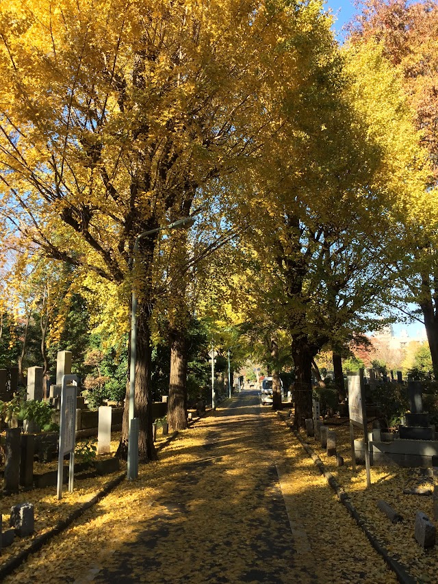 Zōshigaya Cemetery
