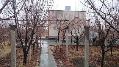 Photos of Reza Samadi's Garden