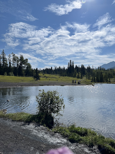 Dog Lake - Visual