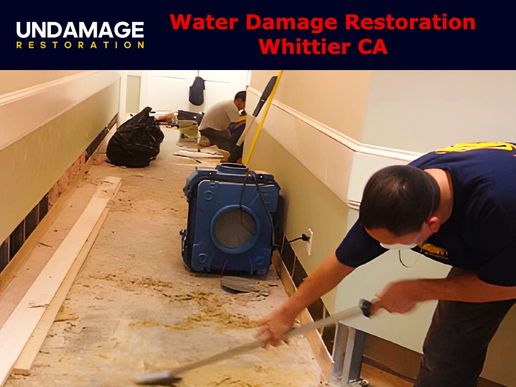 Undamage Restoration photo