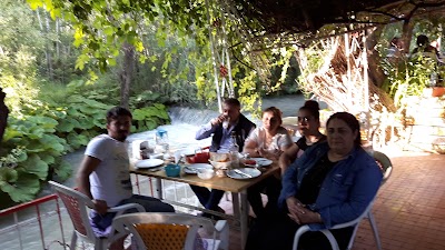 Photos of Ali Doğan Aile Gazinosu