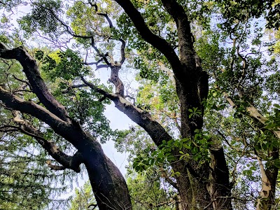 Bald Hill Natural Area