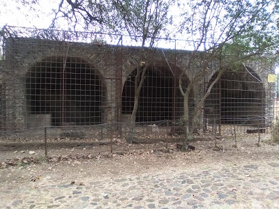 Photos of Royal Enclosure