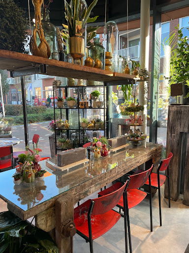 Marcel's bloemen en plantenshop - Thumbnail