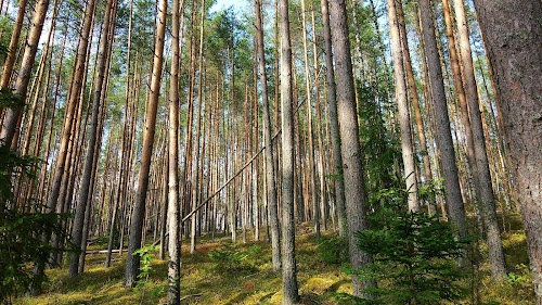 Karula rahvuspargi külastuskeskus