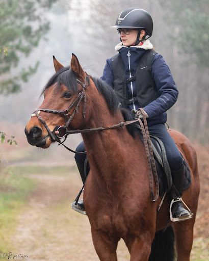 Poney Club Du Genetey - Thumbnail