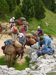 Photo n°7 de OK CORR ÂNE à La Chapelle-en-Vercors (Agence de voyages)