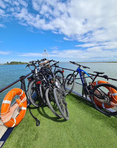 Ebike for Me - Visual
