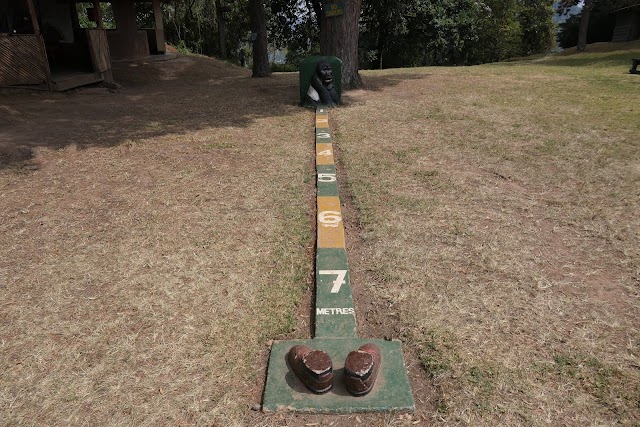 Forêt impénétrable de Bwindi