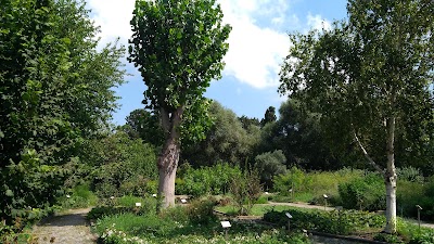 Zeytinburnu Medicinal Plant Garden