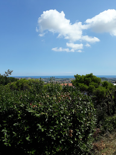 Regione Marche - Palazzo Leopardi - Thumbnail