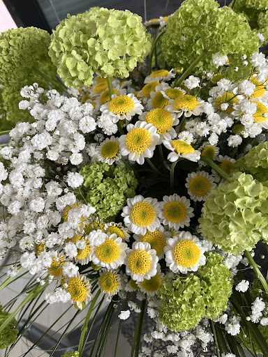 Matka Natura - Instytut Medycyny Naturalnej - dietetyk, akupunktura, bańki ogniowe, TCM