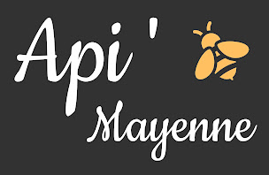 Photo n°12 de Api Mayenne à Saint-Berthevin (Magasin)