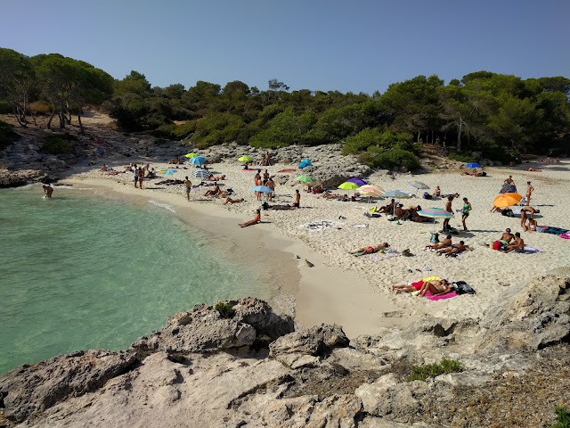 Cala des talaier