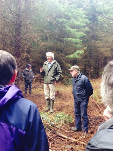 Sustainable Forest Management