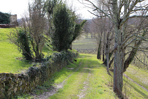 Photo n°6 de Chateau BRANDA à Puisseguin (Établissement vinicole)