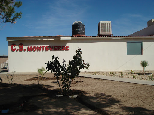 C.S.R. Monte Verde - Thumbnail