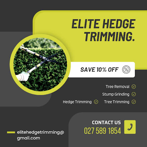 Local Home Services NZ - Thumbnail