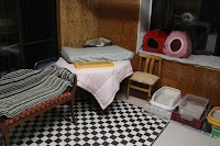 （株）犬猫プラネット