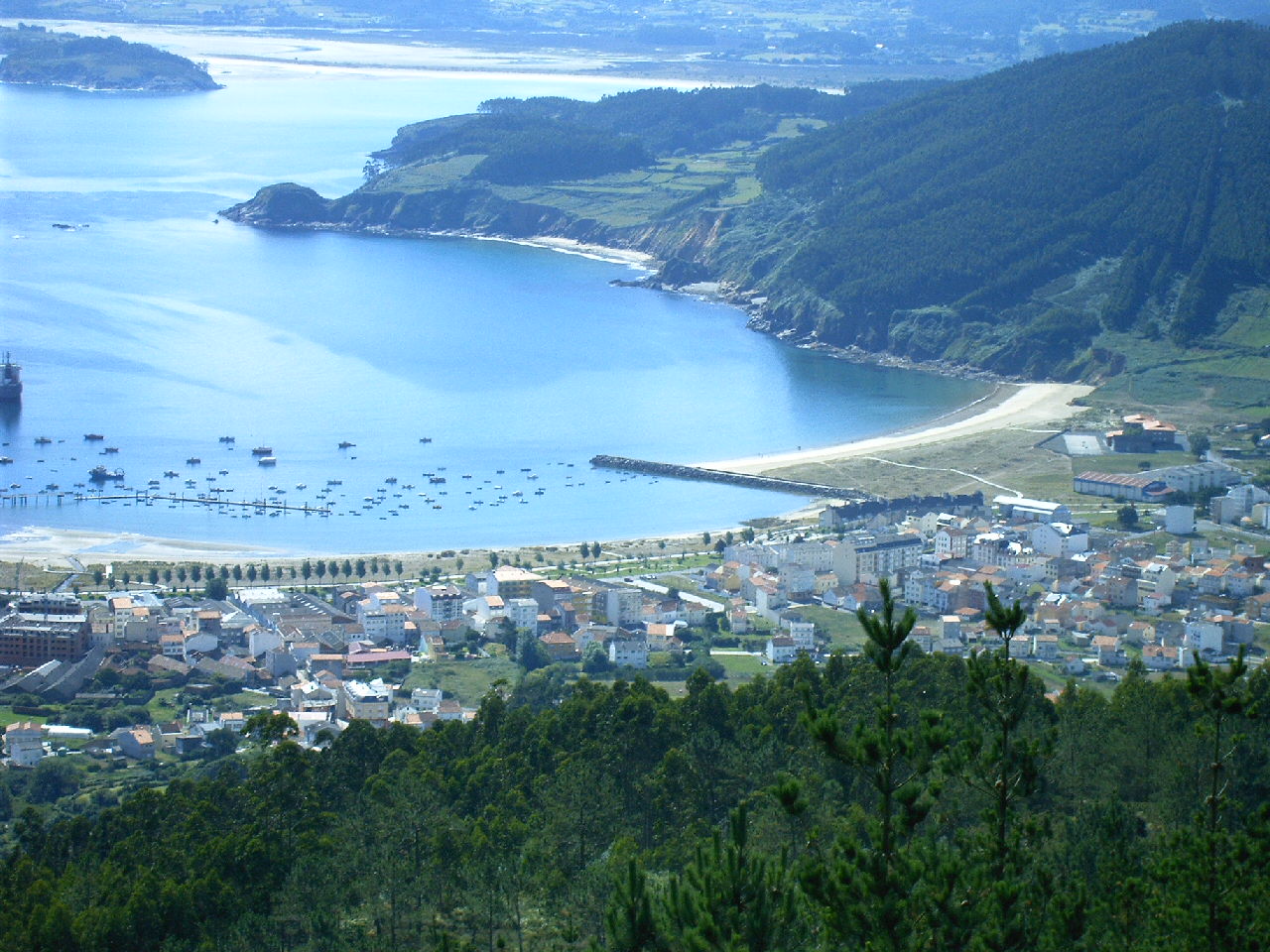 Inmobiliaria Ortegal
