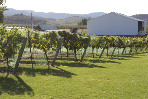 Edenvale Winery - Visual