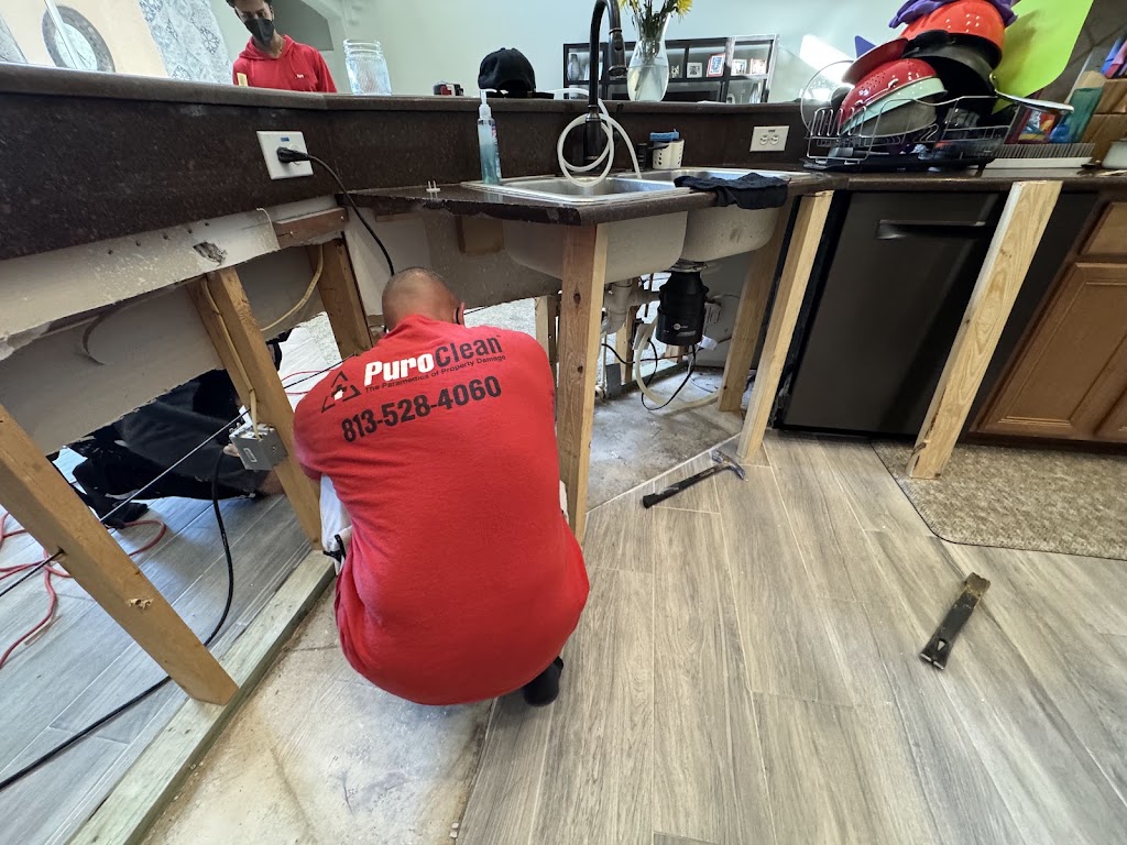 PuroClean Certified Restoration Specialists photo