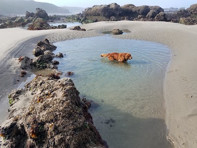 Whiskey Run Beach