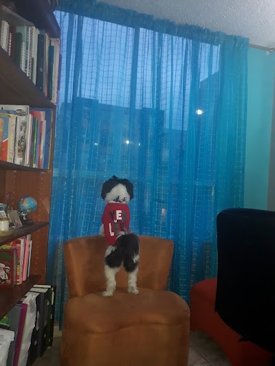 Photos of Hospital Veterinario San Carlos