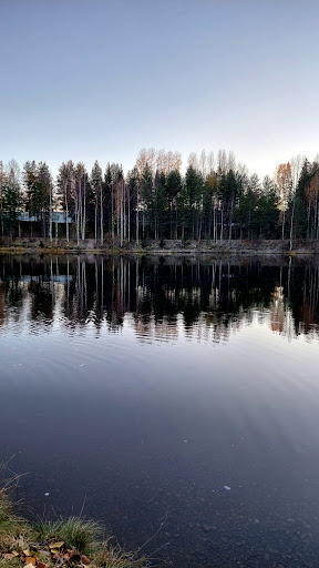 Rovön - Visual