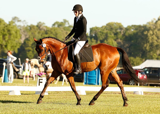 Hanover Stables - Visual