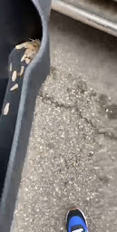 Photo n°11 de Auto Wash 38 By KM NETTOYAGE à Saint-Martin-d'Hères (Station de lavage automobile)