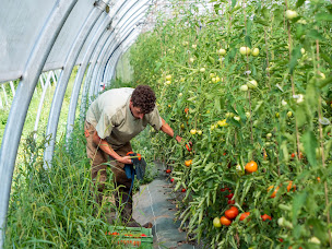 Photo n°5 de Ferme Maraîchère BIO À Travers Champs - Savoie à Domessin (Maraîcher)