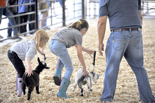 Humboldt County Fair - United States