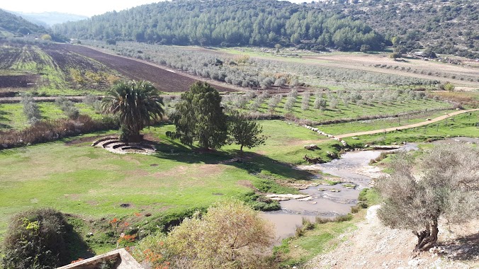 Zippori National Park, Author: יצחק זבולון