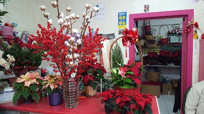 Photos of Floristeria Myriam