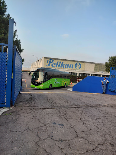PELIKAN - Visual