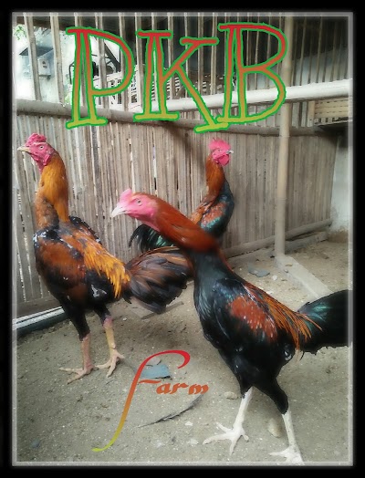Photos of PKB Farm
