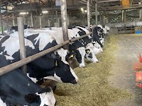 株式会社木下牧場