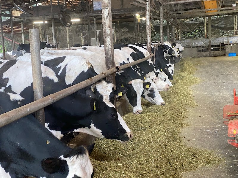 株式会社木下牧場