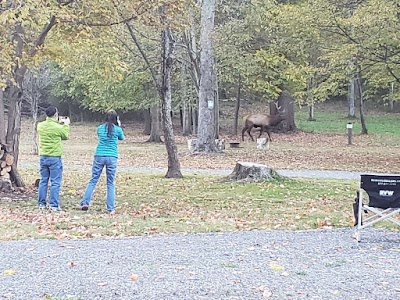 Elk Country Campground