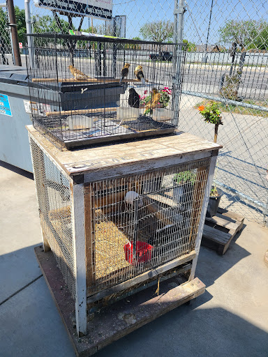 Torres Feed & Pet Supply - Thumbnail