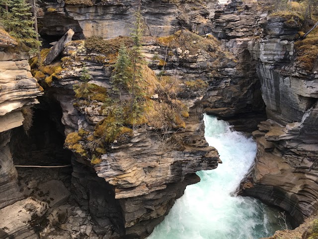 Athabasca Falls