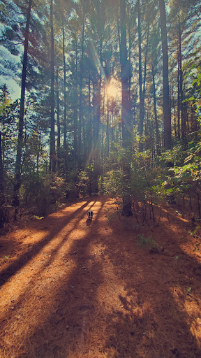 Rowan Creek Trail - Thumbnail