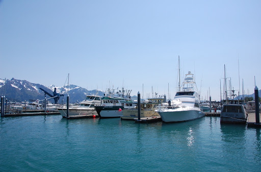 Seward Boat Harbor - Thumbnail