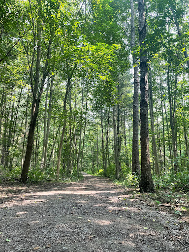 Valley Trail