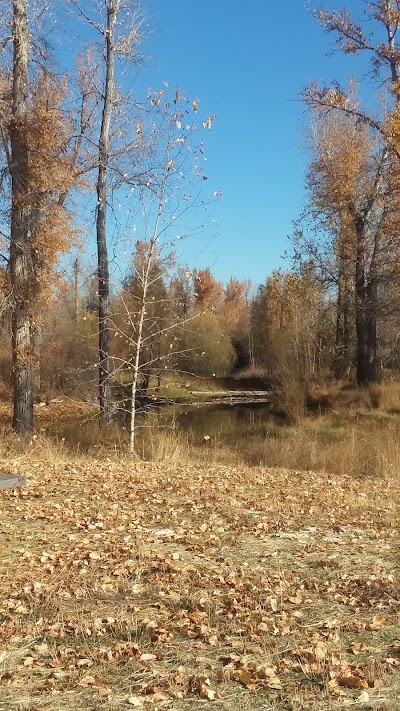 Bitterroot River Park