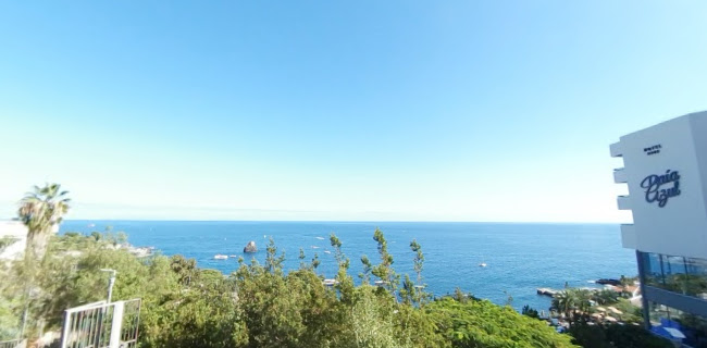 Avaliações doJardim Panorâmico do Funchal em Funchal - Jardinagem