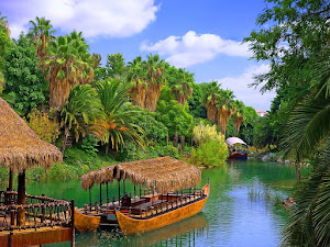 Wonder Travel & TOUR 1