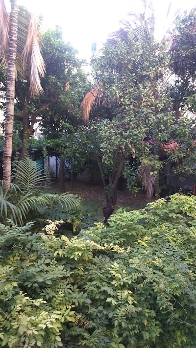 Photos of Sharon House